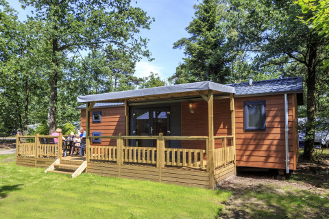 Photo of a wooden cottage with porch at Veluwecamping De Pampel in the Netherlands, surrounded by trees.