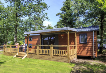 Afbeelding van een houten cottage met veranda op Veluwecamping De Pampel in Nederland, tussen het groen.