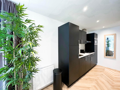 Cocina moderna en una Eco Lodge de Uniq Leisure en los Países Bajos, con gabinetes negros y suelo de madera.