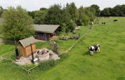 Holiday park in Drenthe showing people in a hot tub, cows grazing, and tents at Feather Down De Lange Weide.