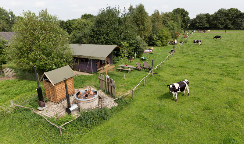 Parc de vacances à Drenthe avec des personnes dans un bain nordique, vaches et verdure à Feather Down De Lange Weide.