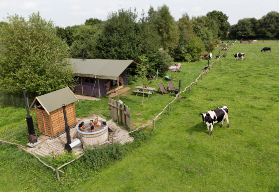 Vakantiepark in Drenthe met mensen in een hottub, grazende koeien en tenten bij Feather Down De Lange Weide.