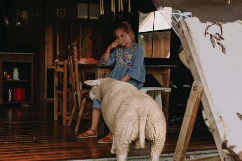 Een meisje in een blauwe jurk eet een ijsje in een houten hut, terwijl een schaap bij de ingang staat.