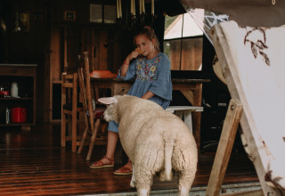 A girl in a blue dress eats ice cream on a bench inside a wooden cabin, with a sheep at the entrance.