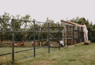 Barn i pyjamas kigger ind i en hønsegård med høns ved ferieparken Feather Down Landgoed ter Wijnendale.