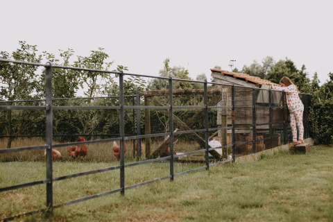 Enfant en pyjama regardant un poulailler avec des poules au Feather Down Landgoed ter Wijnendale en Flandre.