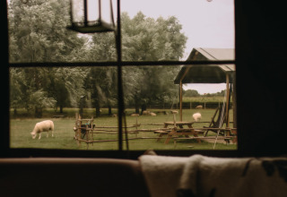 Blik door het raam op een grasveld met schapen, bomen en picknickbanken in een rustige vakantiepark.