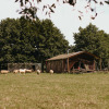 A peaceful field with grazing sheep, glamping tents, and trees at Feather Down Landgoed ter Wijnendale.