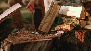 Une personne fend du bois avec une hache sur une souche d'arbre en plein air dans un parc en Belgique.