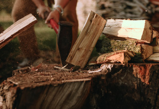 A person chops firewood with an axe on a tree stump outdoors at a Belgian holiday park setting.