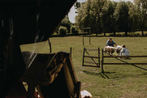 Dos personas cuidan ovejas en un campo verde en Feather Down Landgoed ter Wijnendale, Bélgica, en un día soleado.