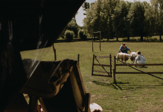 Deux personnes jouent avec des moutons dans un pré au Feather Down Landgoed ter Wijnendale, Belgique, sous le soleil.