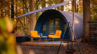 Pequeña casa con techo arqueado, sillones amarillos y terraza en bosque en Buitengoed Ruysbos, Países Bajos.