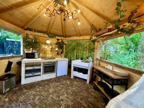Cozy tiny house kitchen with rustic wood ceiling, large windows, and views of lush green forest outside.