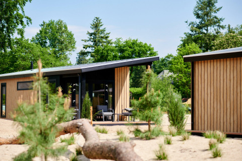 Tiny house Sand Lodge en Holiday Park De IJsvogel en Países Bajos, rodeado de arena y árboles verdes.