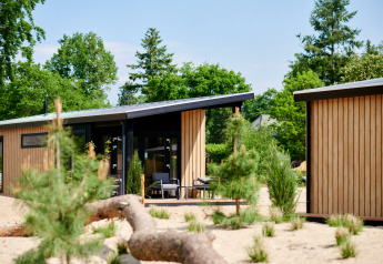 Sand Lodge Tiny House im Holiday Park De IJsvogel, Niederlande, von Natur, Sand und Bäumen umgeben.
