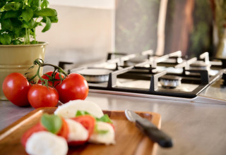 Basilico fresco, pomodori e mozzarella su un tagliere in una cucina di tiny house con fornello a gas sullo sfondo.