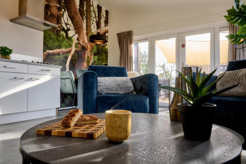 Interior de tiny house moderno con sofá azul, café, bocadillos, planta y puertas grandes acristaladas.