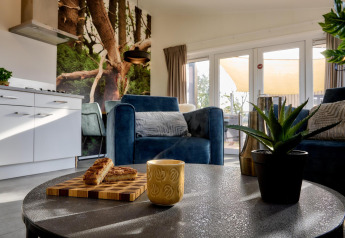 Interior de tiny house moderno con sofá azul, café, bocadillos, planta y puertas grandes acristaladas.