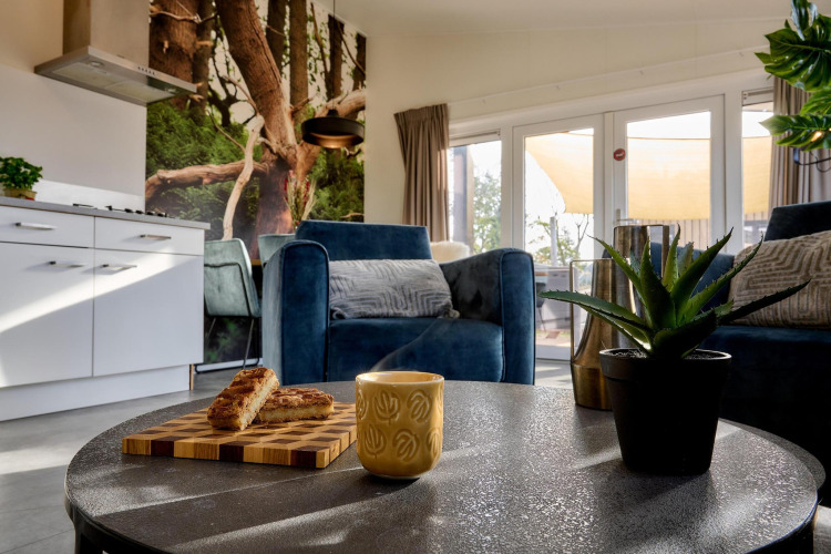 Stijlvol tiny house interieur met moderne blauwe bank, koffie, snacks, plant en grote glazen deuren.