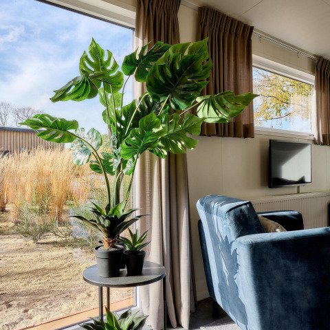 Et hyggeligt hjørne i et tiny house med store grønne planter, blå stol, gardiner og vinduesudsigter.