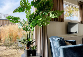 Et hyggeligt hjørne i et tiny house med store grønne planter, blå stol, gardiner og vinduesudsigter.