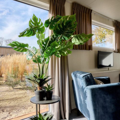 Rincón acogedor de una tiny house con grandes plantas verdes junto a la ventana y una butaca azul.