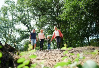 Familie går ned ad en bakke i skoven nær Sand Lodge, Holiday Park De IJsvogel, Nederlandene.