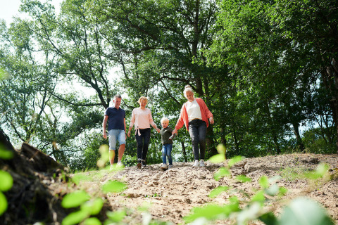 Familie går ned ad en bakke i skoven nær Sand Lodge, Holiday Park De IJsvogel, Nederlandene.