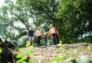 Familie går ned ad en bakke i skoven nær Sand Lodge, Holiday Park De IJsvogel, Nederlandene.