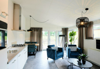 Modern tiny house interieur met blauwe zetels, open keuken, grote ramen en groene planten.