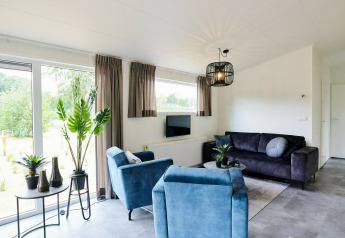 Bright, modern tiny house living room with large windows, blue chairs, dark sofa, and green houseplants.