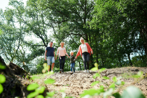 Een familie wandelt een heuvel af tussen de bomen, genietend van de natuur bij een tiny house.