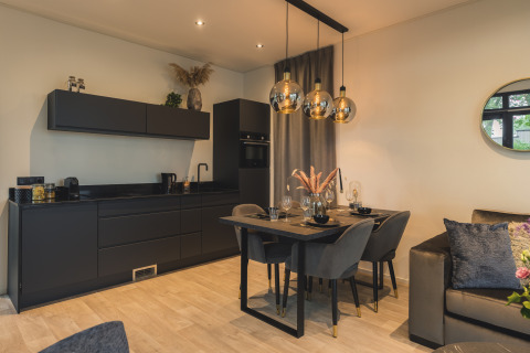 Cucina moderna e zona pranzo a Villa Maritiem presso MarinaPark Bad Nederrijn, Paesi Bassi, interni eleganti.