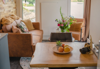 Cozy living room in Tiny River House at MarinaPark Bad Nederrijn, Netherlands, with modern decor and river view.