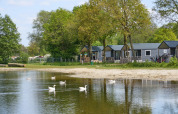 Casa de playa junto a un lago con patos blancos, árboles verdes y cabañas modernas en Camping 't Veld, Países Bajos.