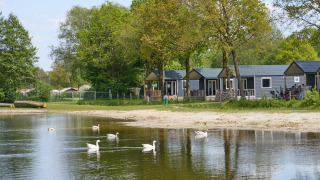 Strandhus ved søen med hvide ænder, grønne træer og moderne hytter på Camping 't Veld, Holland.
