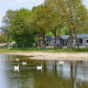 Chalet sulla spiaggia con anatre bianche, alberi verdi e case moderne al Camping 't Veld nei Paesi Bassi.
