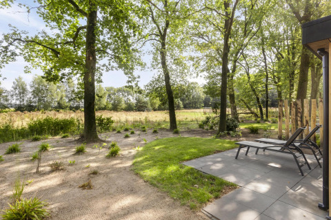 Buitenaanzicht bij Module Wood-lodge in Bospark Ede, Nederland met ligstoelen en groene bomen.