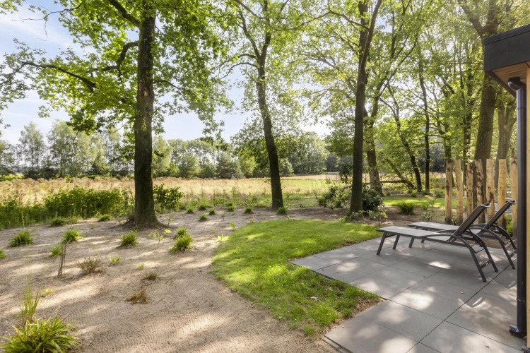 Outdoor view at Module Wood lodge in Bospark Ede, Netherlands, with lounge chairs and green forest.
