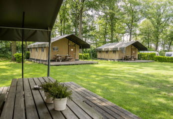 Safari-telte og borde i grønne omgivelser på Recreation Park Den Blanken i Holland, skovklædt område.