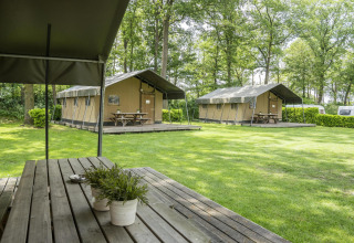 Safaritenten met houten tafels in groene omgeving bij Recreatiepark Den Blanken in Nederland, tussen bomen.