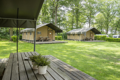 Safaritenten met houten tafels in groene omgeving bij Recreatiepark Den Blanken in Nederland, tussen bomen.