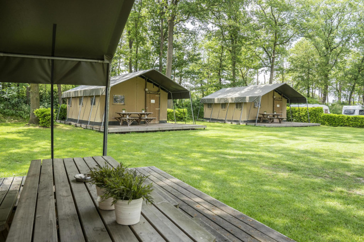 Tiendas tipo safari y bancos de madera en césped, Recreation Park Den Blanken, Países Bajos, área boscosa.