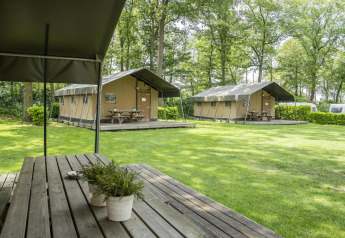 Safari tents and picnic tables on grass at Recreation Park Den Blanken in the Netherlands, forest setting.