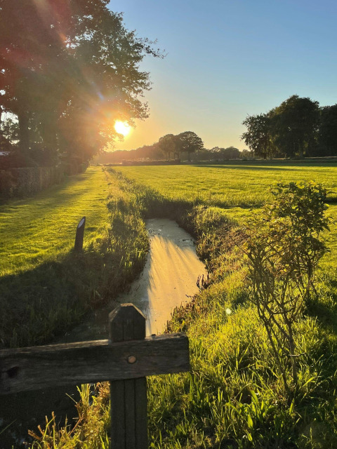 Sonnenuntergang über einer grünen Wiese mit kleinem Bach bei Safari tent im Recreation Park Den Blanken, Niederlande