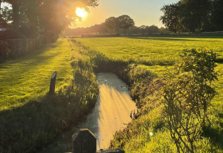 Pradera soleada con césped verde, árboles y un arroyo al atardecer en Safari tent de Den Blanken, Países Bajos