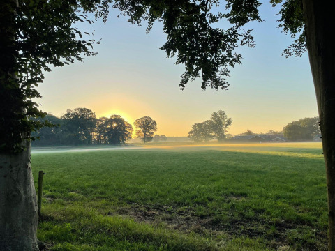 Amanecer sobre un prado verde con niebla visto desde una tienda safari en el Parque de Recreación Den Blanken, Países Bajos.