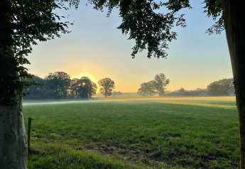 Amanecer sobre un prado verde con niebla visto desde una tienda safari en el Parque de Recreación Den Blanken, Países Bajos.