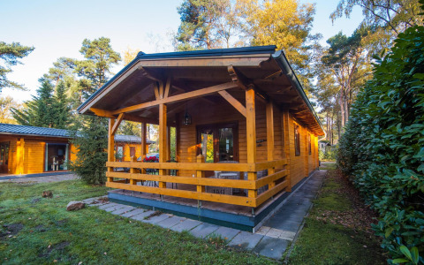 Lodge bien-être au Buitencentrum Hessenheem, Pays-Bas, entourée de forêt avec terrasse en bois.